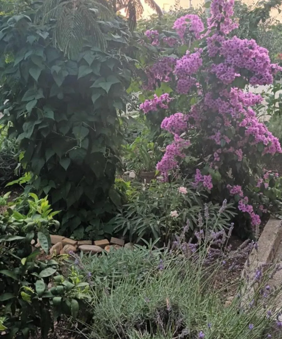 Anna Apartment Biograd Na Moru Croatia
